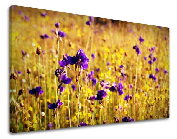 Tablou de perete FLORI - 20x30 cm