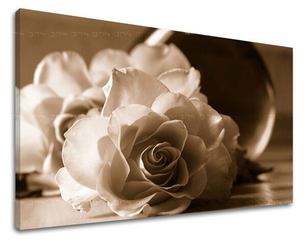Tablou de perete FLORI OF ROSES - 20x30 cm