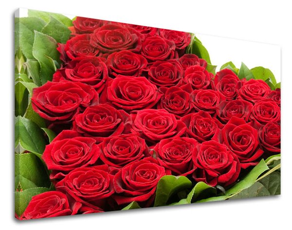 Tablou de perete FLORI OF ROSES - 20x30 cm