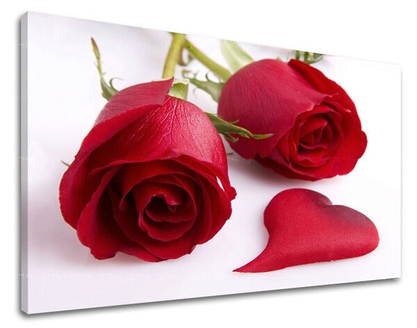 Tablou de perete FLORI OF ROSES - 20x30 cm