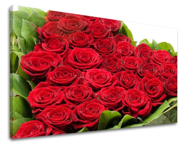 Tablou de perete FLORI OF ROSES - 20x30 cm