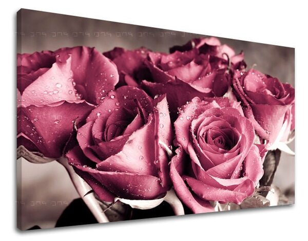 Tablou de perete FLORI OF ROSES - 20x30 cm
