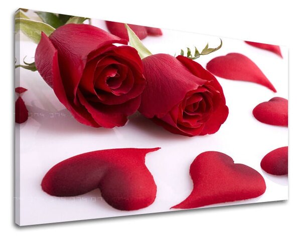Tablou de perete FLORI OF ROSES - 20x30 cm