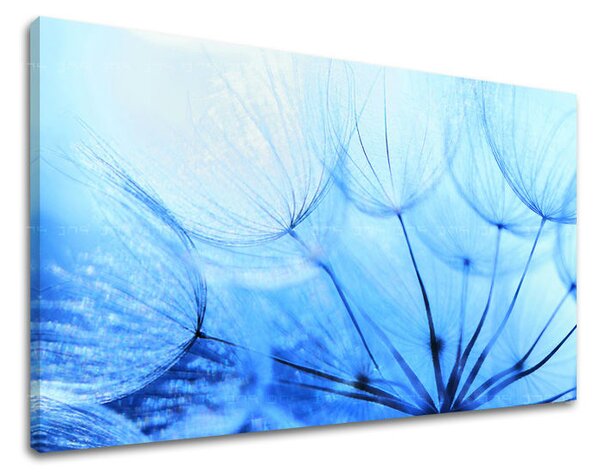 Tablou de perete FLORI PÚPAVA - 20x30 cm