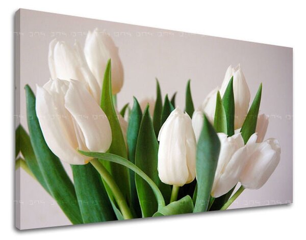 Tablou de perete FLORI TULIPANS - 20x30 cm