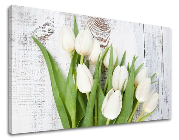Tablou de perete FLORI TULIPÁNY - 20x30 cm