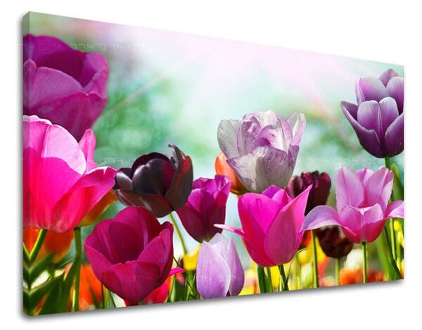 Tablou de perete FLORI TULIPANS - 20x30 cm