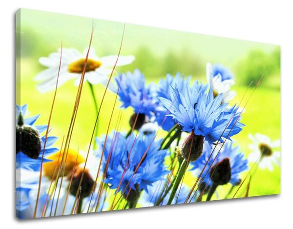 Tablou de perete FLORI - 20x30 cm