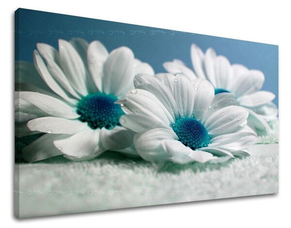 Tablou de perete FLORI - 20x30 cm