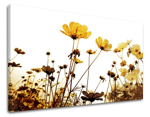 Tablou de perete FLORI - 20x30 cm