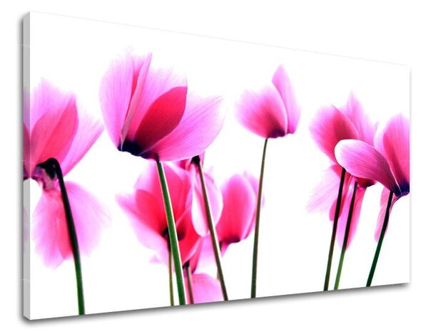 Tablou de perete FLORI - 20x30 cm