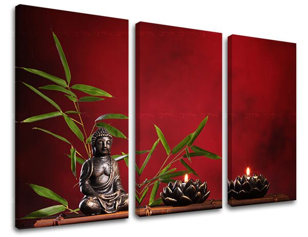 Tablou de perete în 3 părți FENG SHUI - 60x40 cm