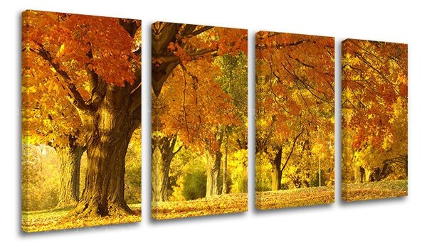 Tablou de perete în 4 părți ARBORI - 80x40 cm