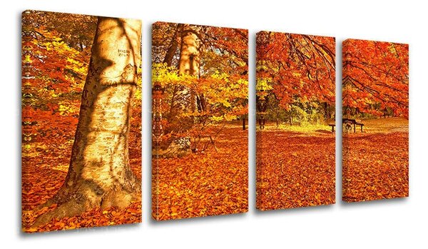 Tablou de perete în 4 părți ARBORI - 80x40 cm