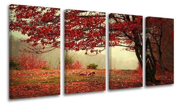 Tablou de perete în 4 părți ARBORI - 80x40 cm