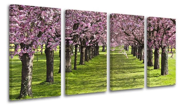 Tablou de perete în 4 părți ARBORI - 80x40 cm