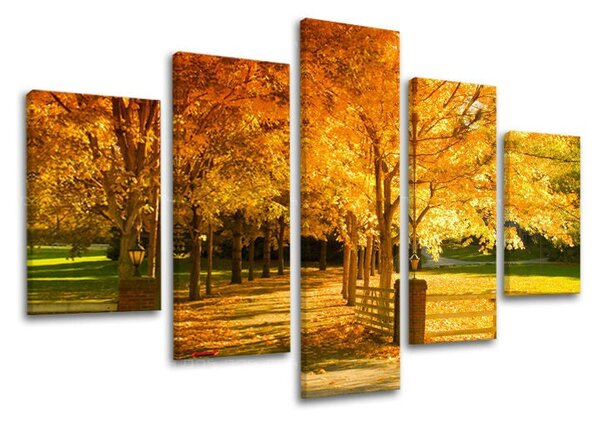 Tablou de perete în 5 părți ARBORI - 100x80 cm
