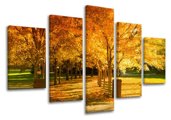 Tablou de perete în 5 părți ARBORI - 100x80 cm