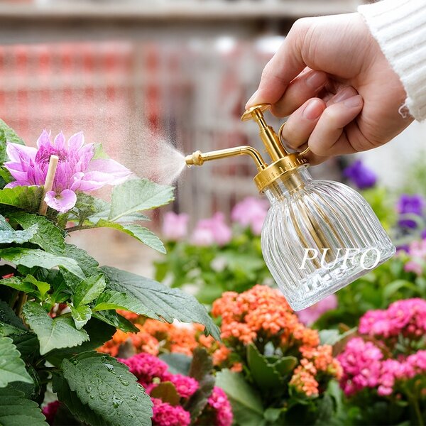 Sticla pentru udarea plantelor Pufo Elegant, pulverizator decorativ pentru interior, 200 ml
