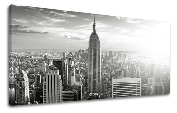 Tablou de perete PANORAMA ORAȘ / NEW YORK - 30x60 cm