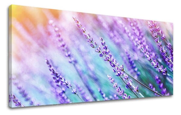 Tablou de perete PANORAMA FLORI - 30x60 cm