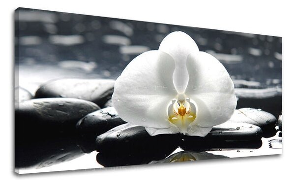 Tablou de perete PANORAMA FENG SHUI - 30x60 cm