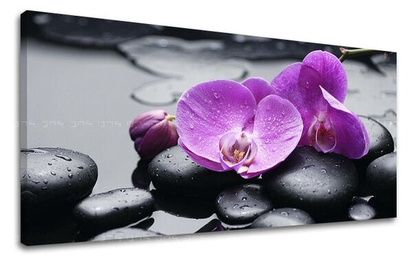 Tablou de perete PANORAMA FENG SHUI - 30x60 cm