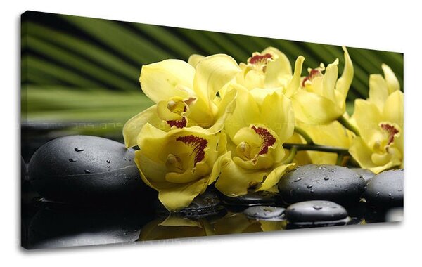 Tablou de perete PANORAMA FENG SHUI - 30x60 cm