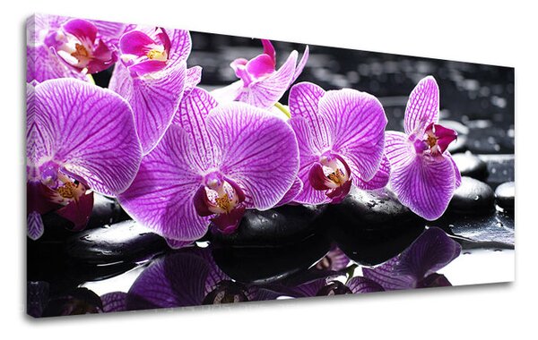 Tablou de perete PANORAMA FENG SHUI - 30x60 cm