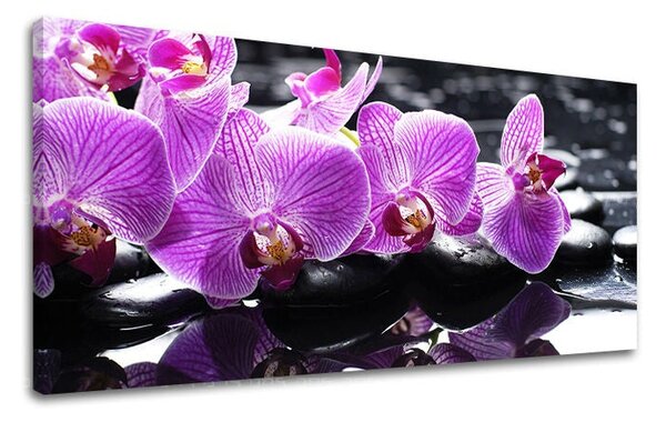 Tablou de perete PANORAMA FENG SHUI - 30x60 cm