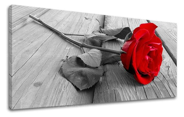 Tablou de perete Panorama FLORI - 30x60 cm