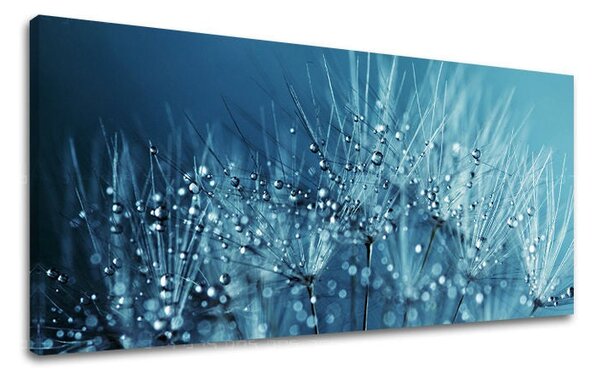 Tablou de perete PANORAMA FLORI - 30x60 cm