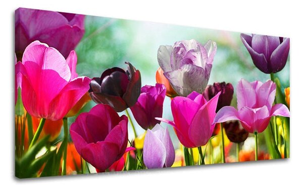 Tablou de perete Panorama FLORI - 30x60 cm