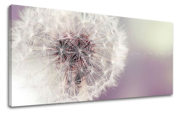 Tablou de perete PANORAMA FLORI - 30x60 cm