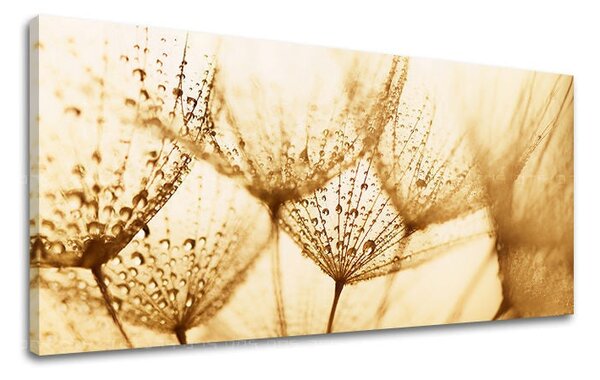 Tablou de perete PANORAMA FLORI - 30x60 cm