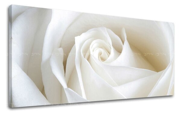 Tablou de perete Panorama FLORI - 30x60 cm
