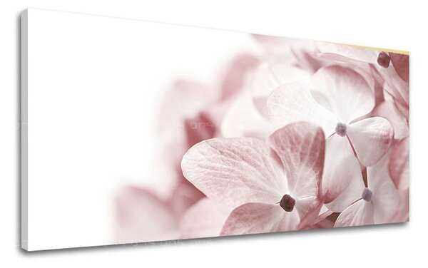 Tablou de perete Panorama FLORI - 30x60 cm
