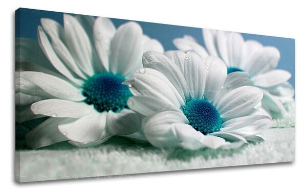 Tablou de perete Panorama FLORI - 30x60 cm