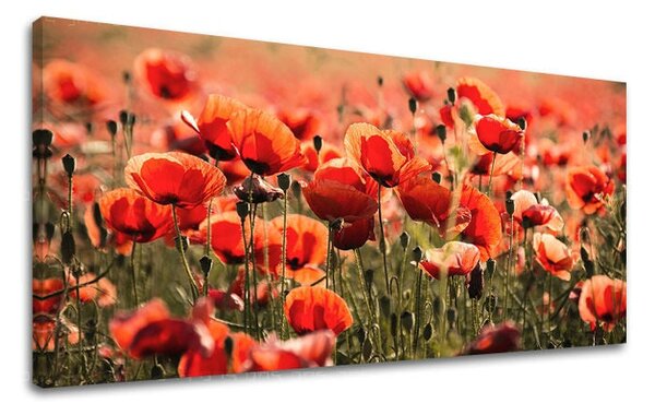 Tablou de perete PANORAMA FLORI - 30x60 cm