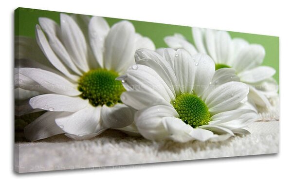Tablou de perete Panorama FLORI - 30x60 cm