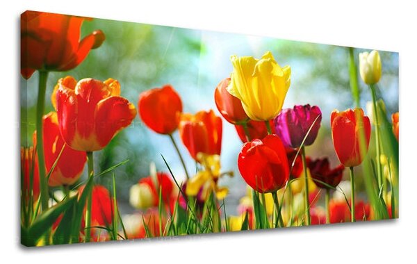 Tablou de perete Panorama FLORI - 30x60 cm