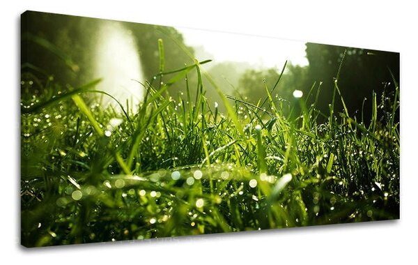 Tablou de perete PANORAMA PLANTS - 30x60 cm
