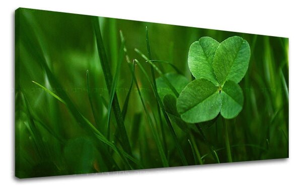 Tablou de perete PANORAMA PLANTS - 30x60 cm