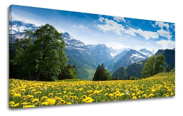 Tablou de perete PANORAMA PEISAJ - 30x60 cm
