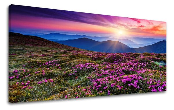 Tablou de perete PANORAMA PEISAJ - 30x60 cm