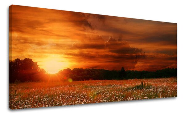 Tablou de perete PANORAMA PEISAJ - 30x60 cm