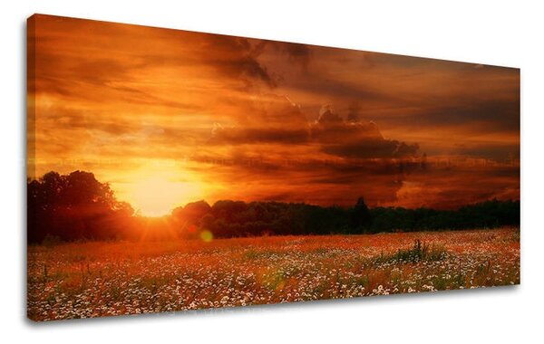 Tablou de perete PANORAMA PEISAJ - 30x60 cm