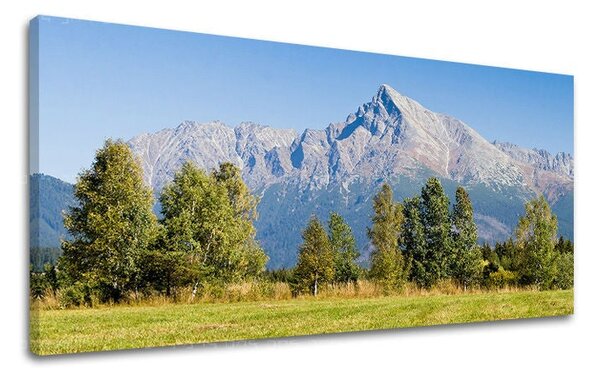 Tablou de perete PANORAMA SLOVACIA - 30x60 cm