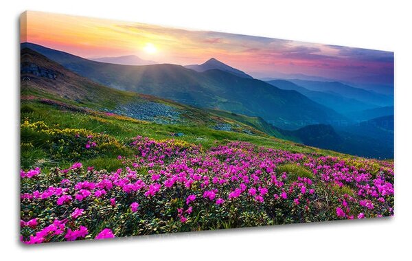 Tablou de perete PANORAMA SLOVACIA - 30x60 cm