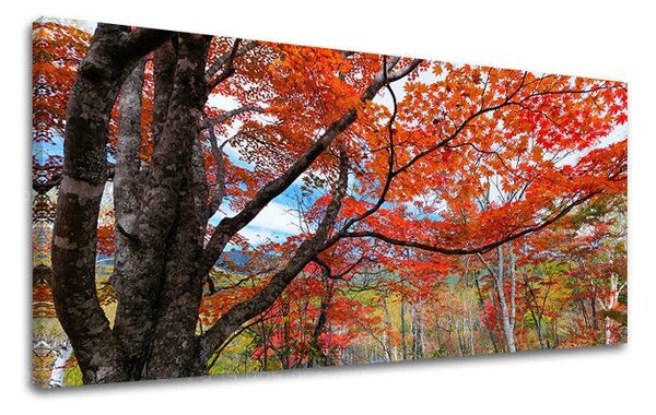 Tablou de perete PANORAMA COPACI - 30x60 cm